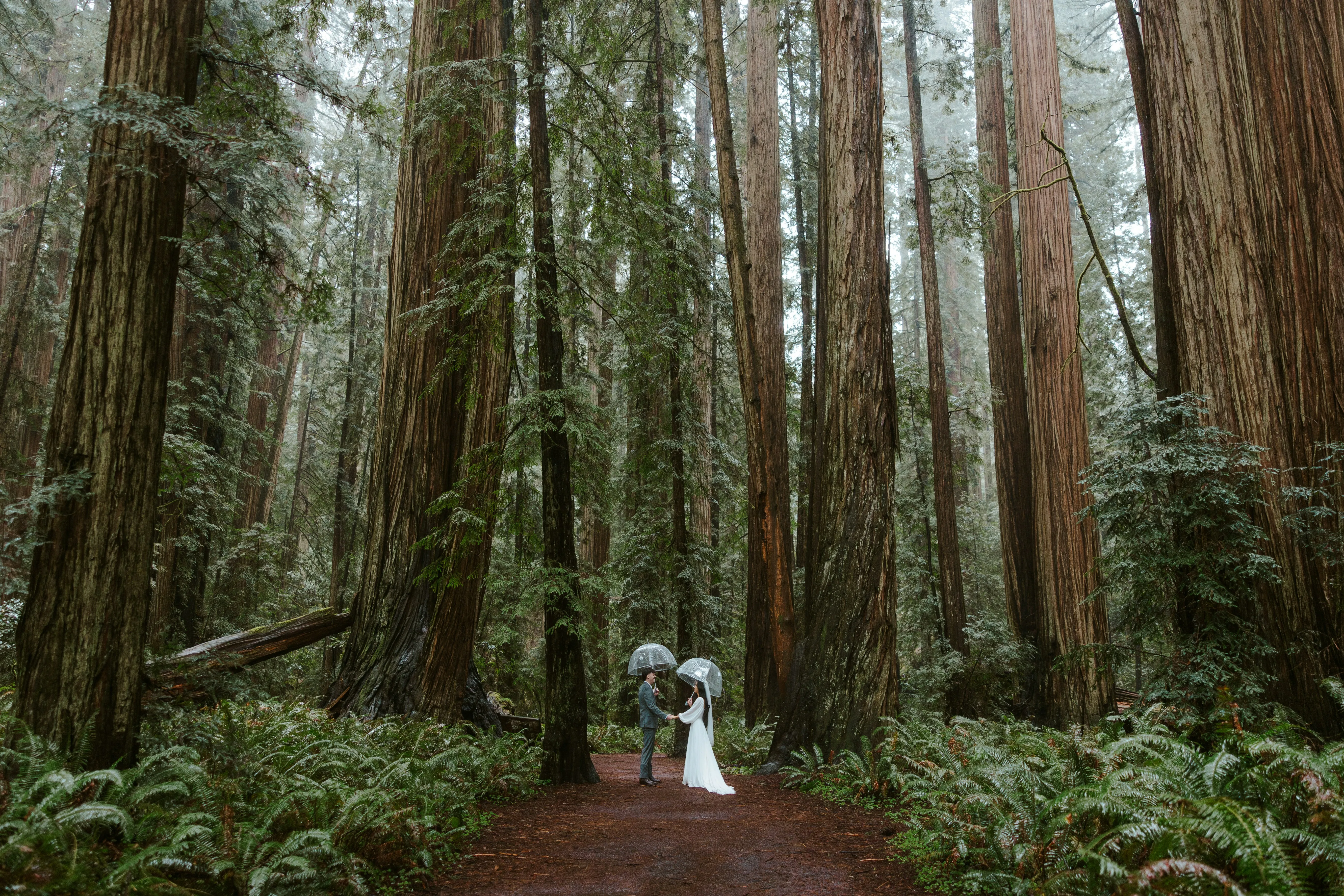 邀请赛与补遗:郑州、昆明、HDU 与洛谷